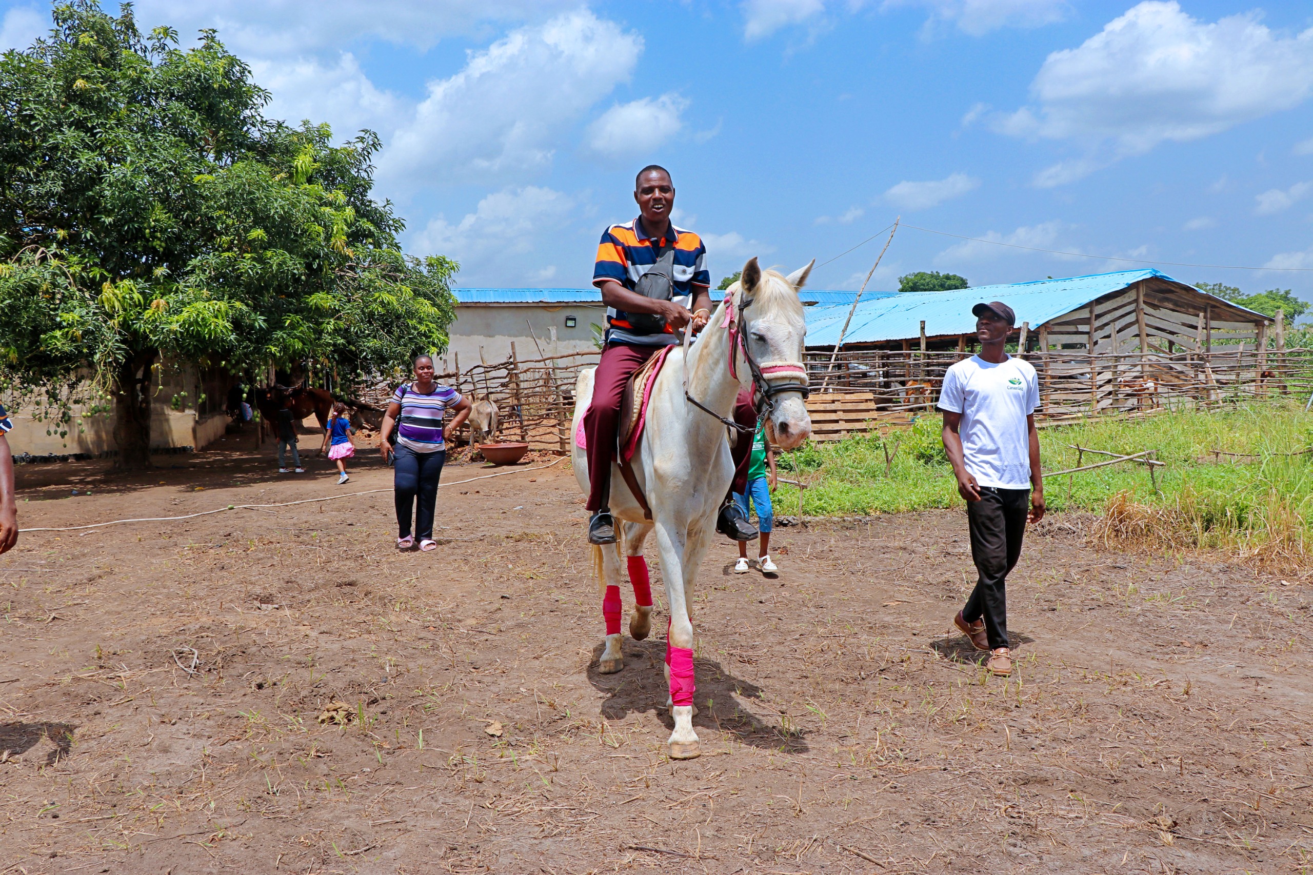Sortie éducative et récréative : Visite de la ferme animale et agricole de LILIKOPÉ — Photo 13